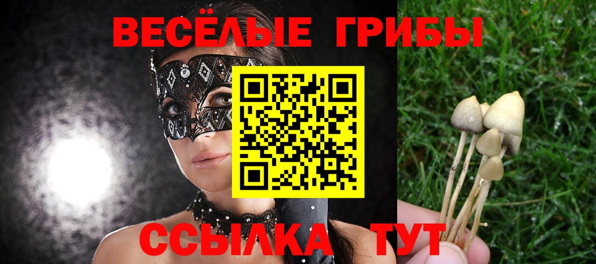 Белебей  Псилоцибиновые грибы Cubensis  Вход с VPN 